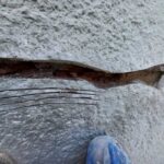 manutenção de trincas e rachaduras na fachada do predio - Hidracon RJ